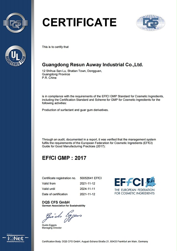 广东凯发k8国际首页奥威EFfCI GMP认证证书